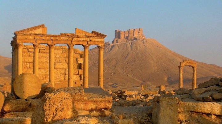 Palmyra by Baxter Jackson